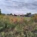 COSERENI (IL) - SE VINDE TEREN 2000 MP LA SOS BUCURESTI -URZICENI