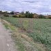 COSERENI (IL) - SE VINDE TEREN 2000 MP LA SOS BUCURESTI -URZICENI